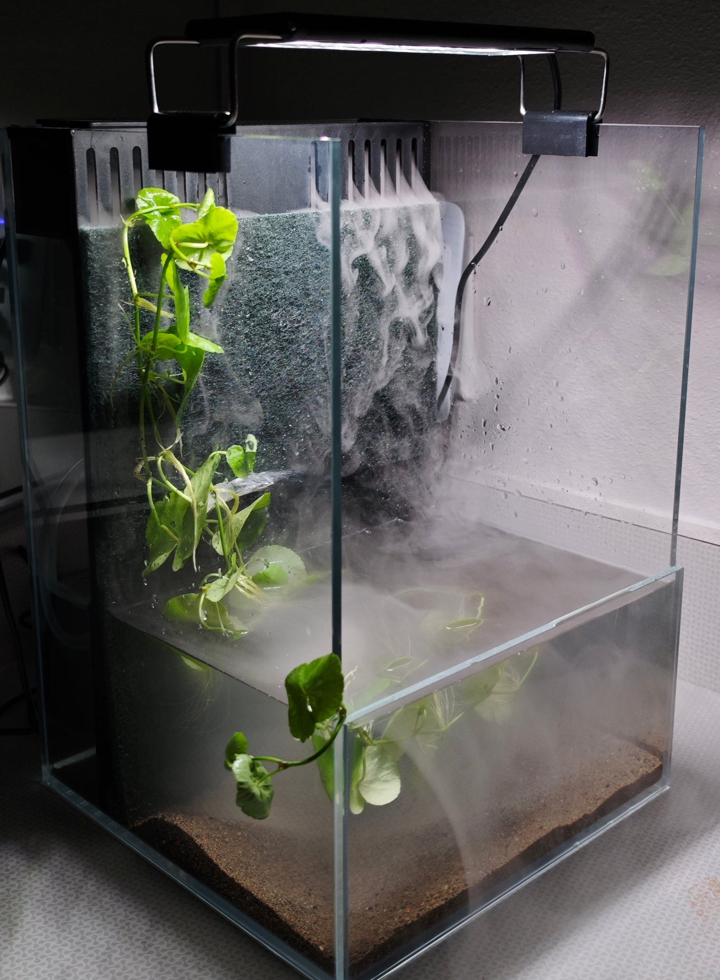Waterfall Paludarium Kit