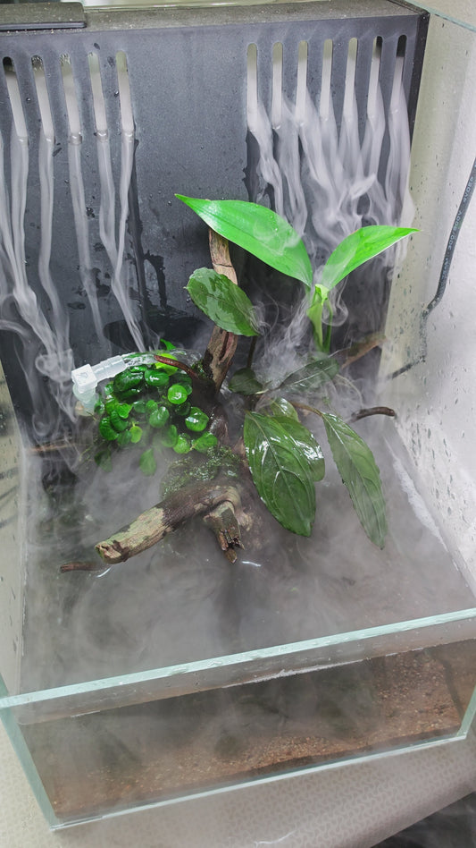 Waterfall Paludarium Kit