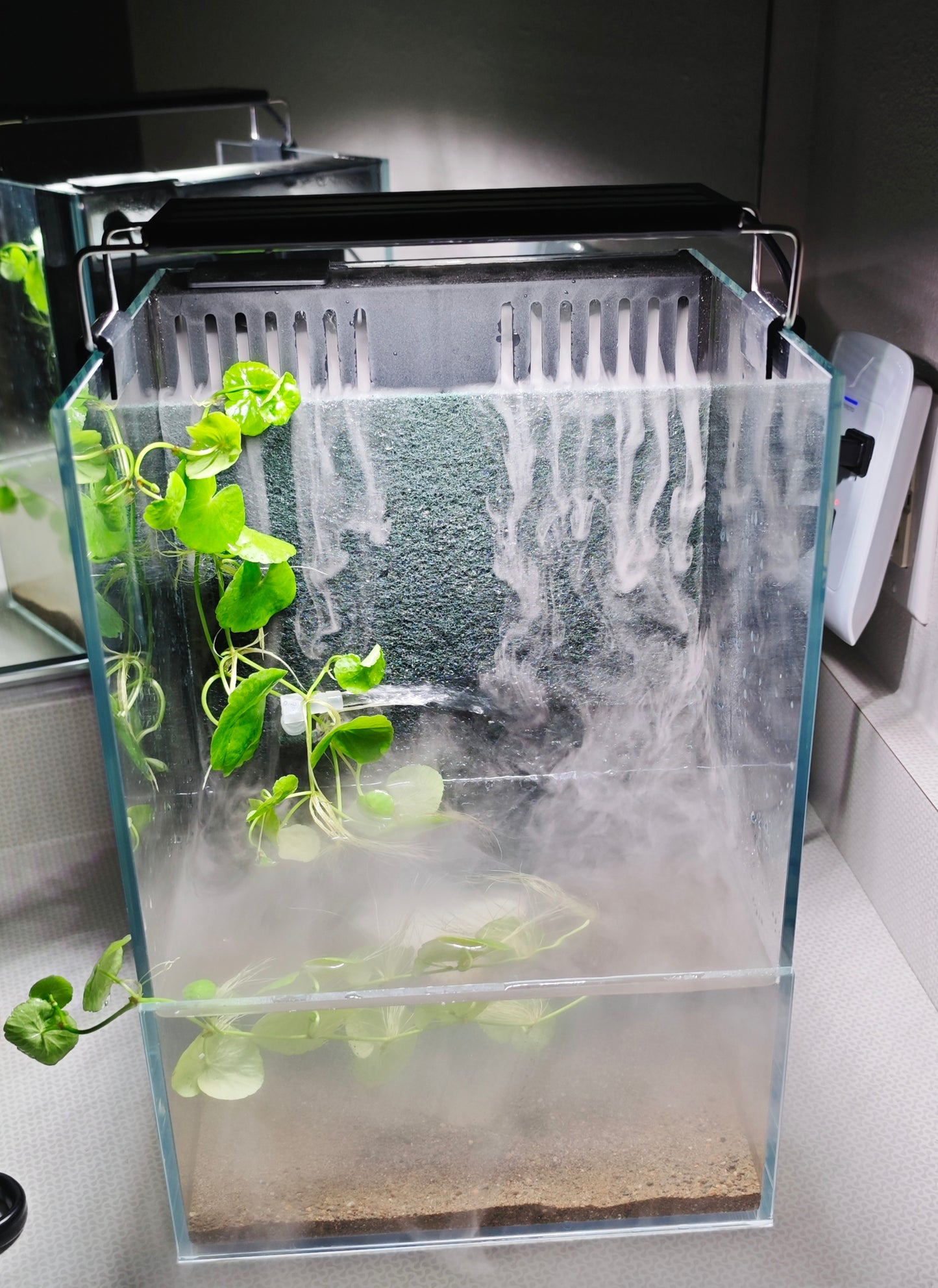 Waterfall Paludarium Kit