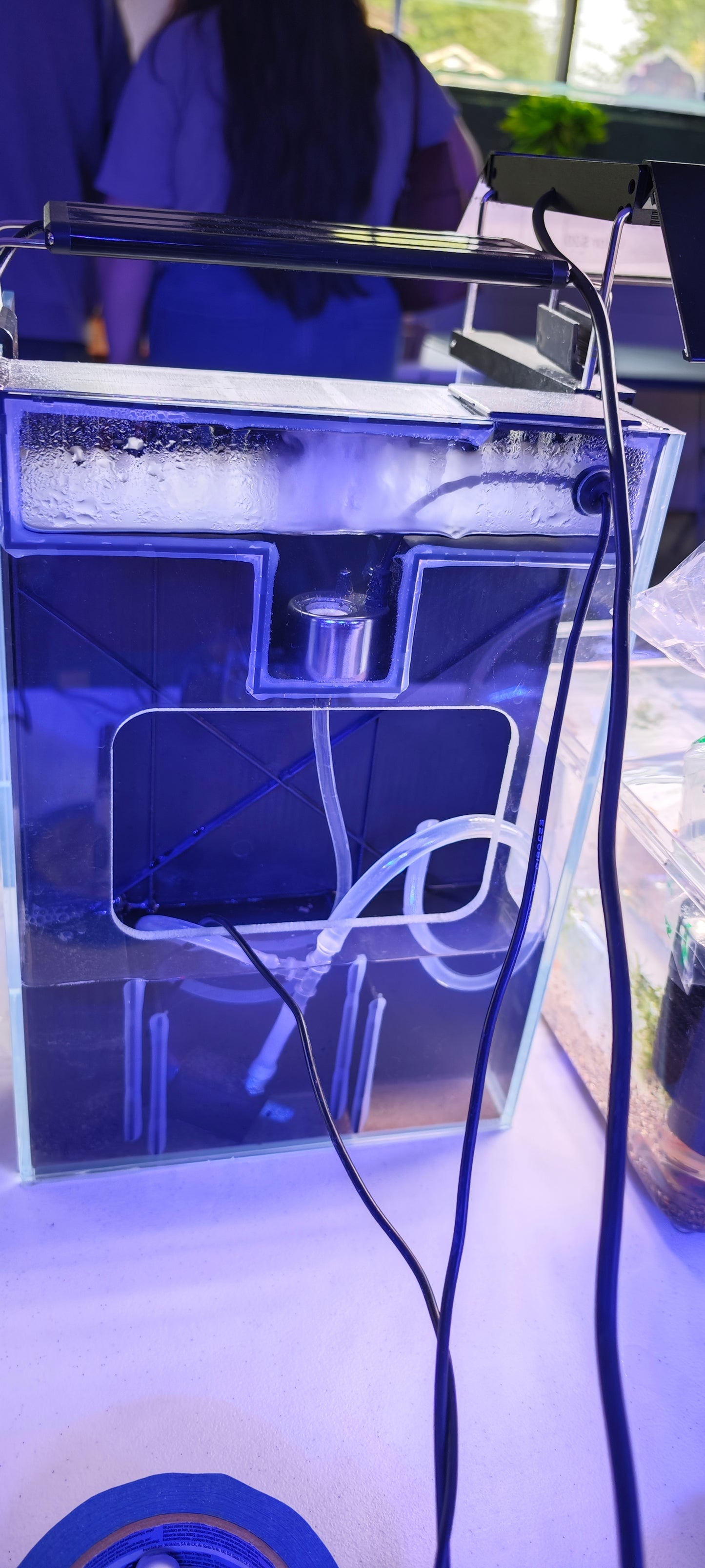 Waterfall Paludarium Kit